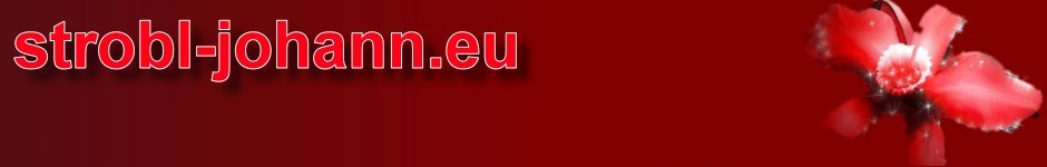 Strobl Johann